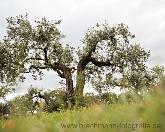 Sizilien/05.jpg